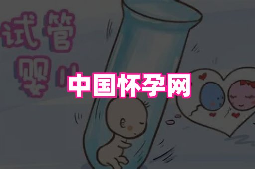 生殖助孕网站 1