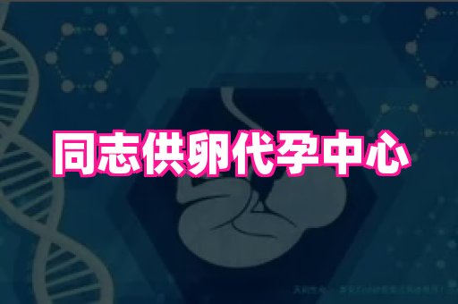 生殖助孕网站 4